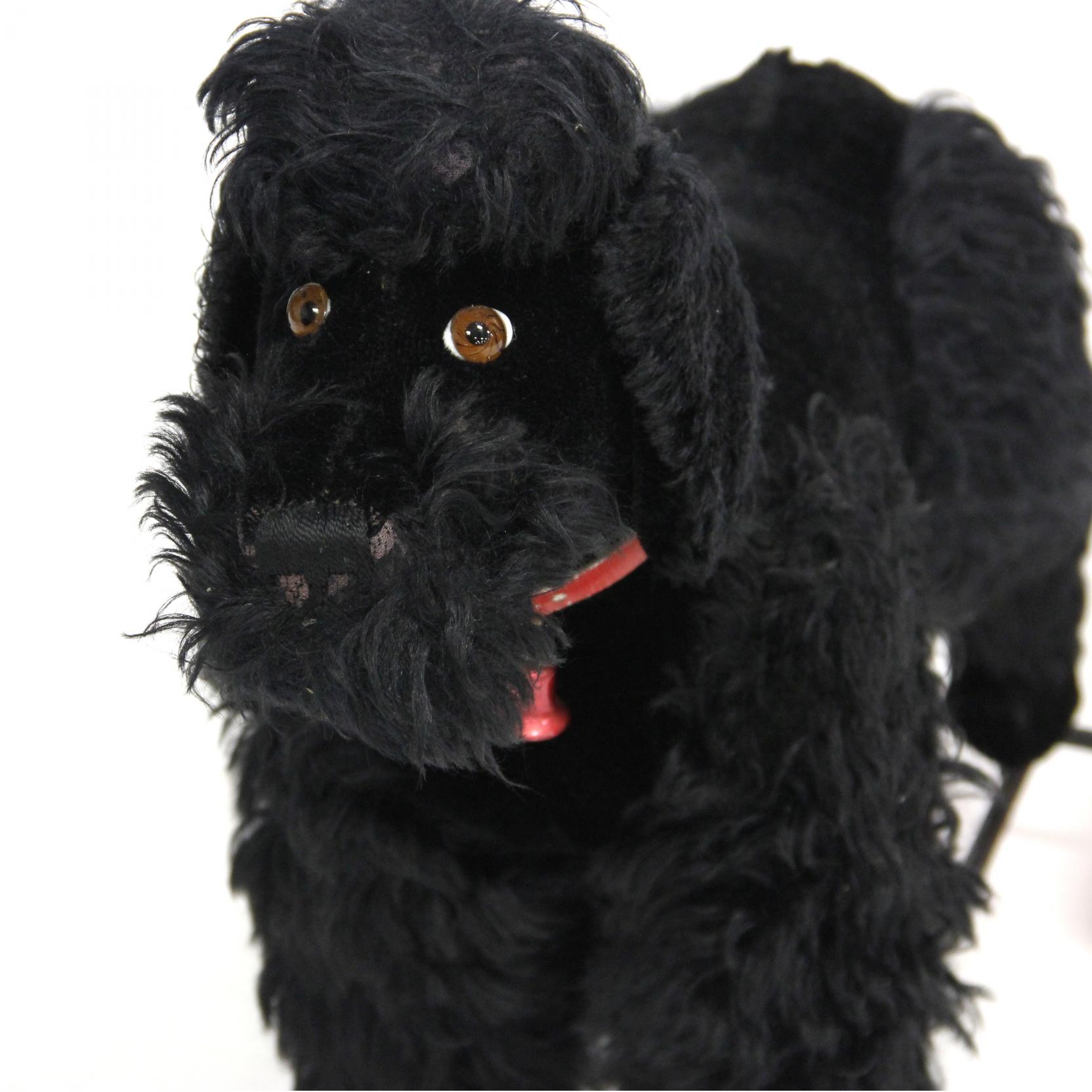 Peluche Vintage Steiff – Caniche Noir Miniature (8cm) Collier Rouge 1960
