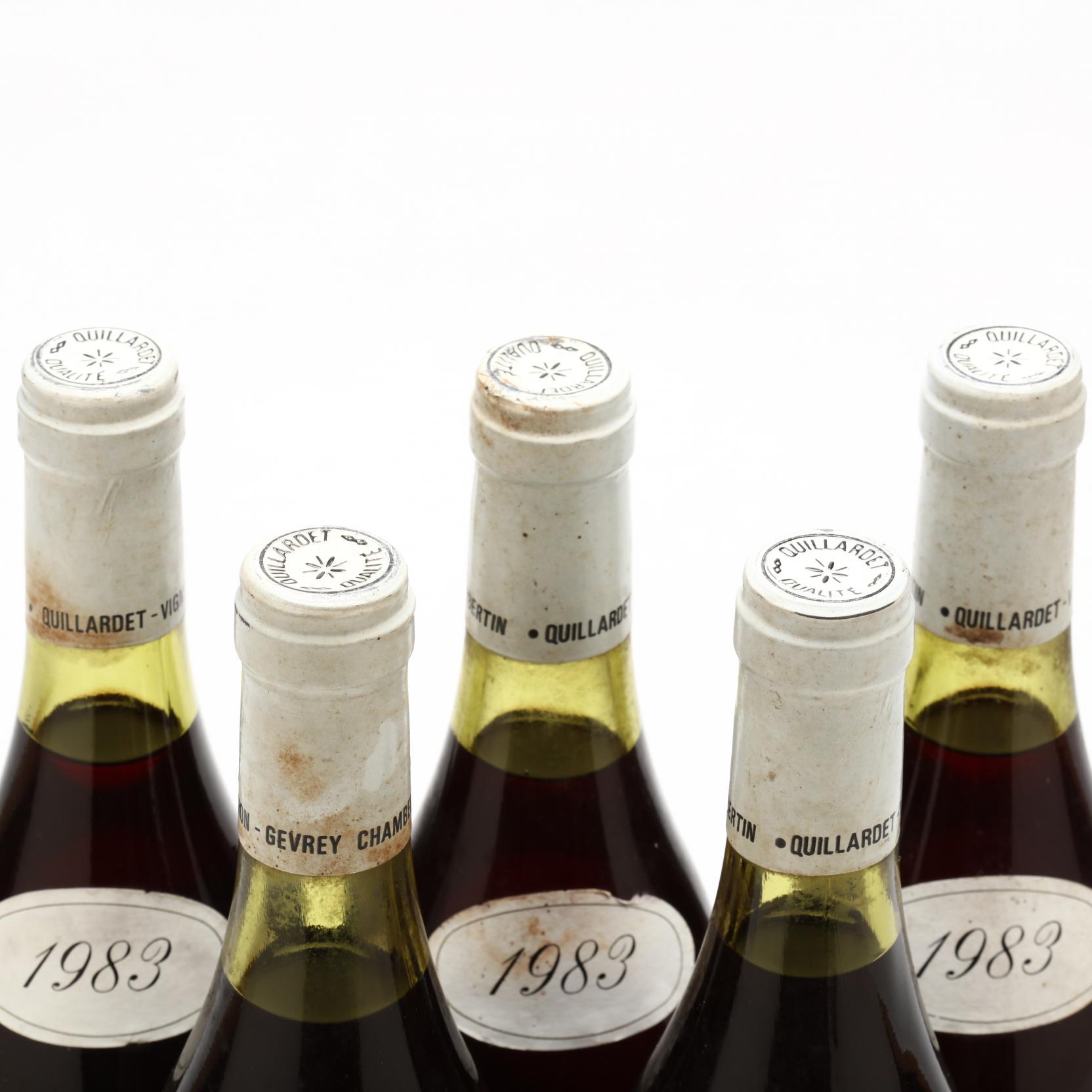 Gevrey Chambertin - Vintage 1983 (Lot 1254 - The January Wine &amp
