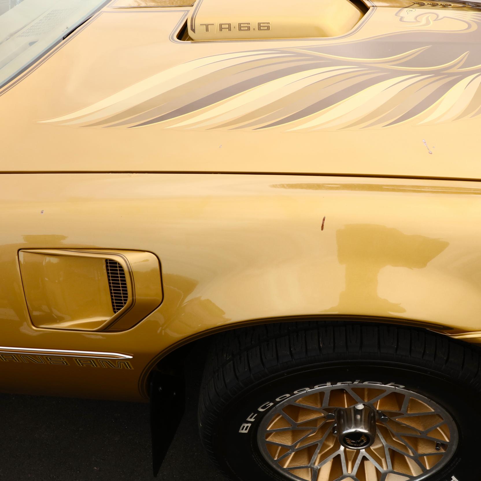 1978 Pontiac Trans Am SE 