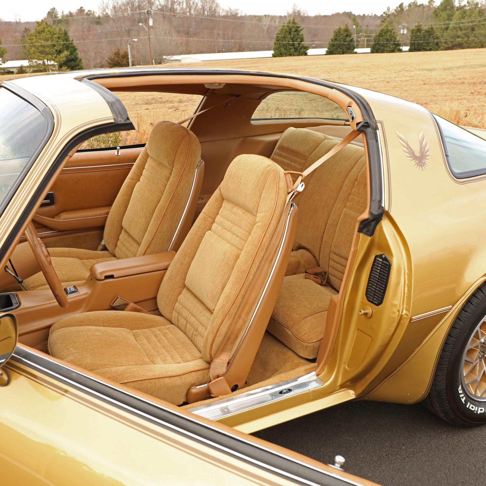 1978 Pontiac Trans Am SE 