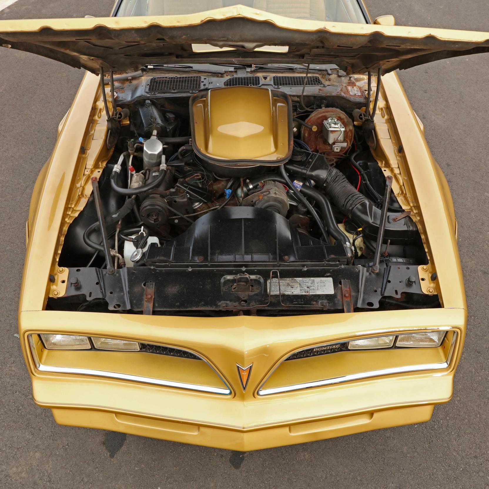 1978 Pontiac Trans Am SE 