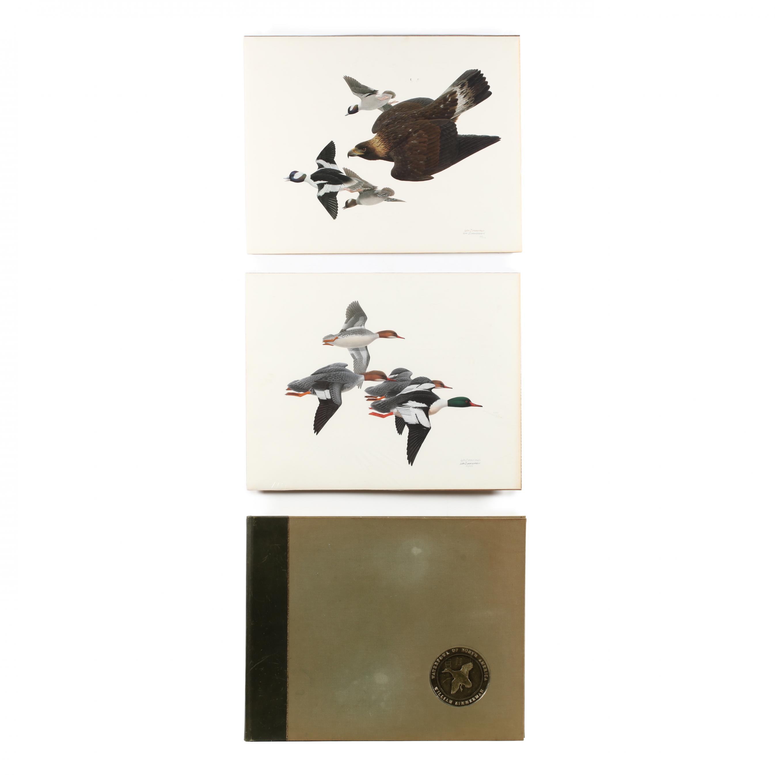 zimmerman-i-waterfowl-of-north-america-i-portfolio