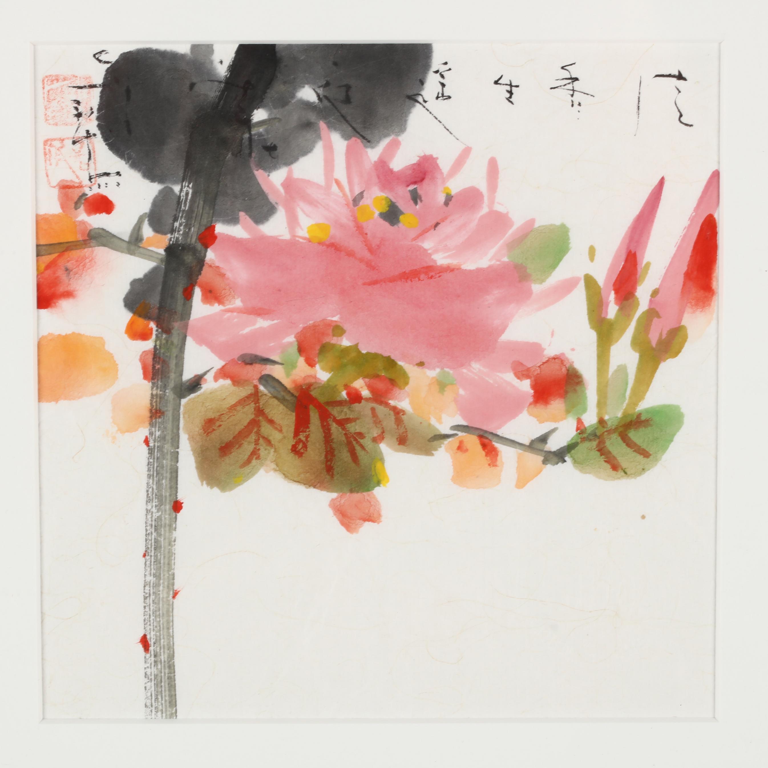 The Watercolor Drawings of John White from The British