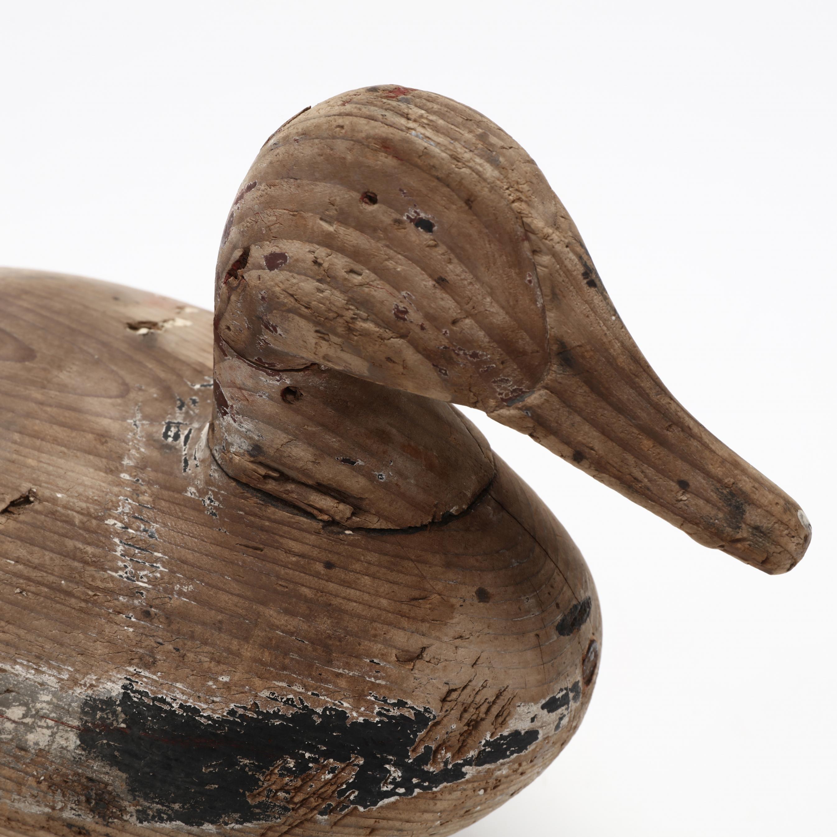 Cigar Daisey Canvasback in Lee Dudley style (Lot 2013 - Summer