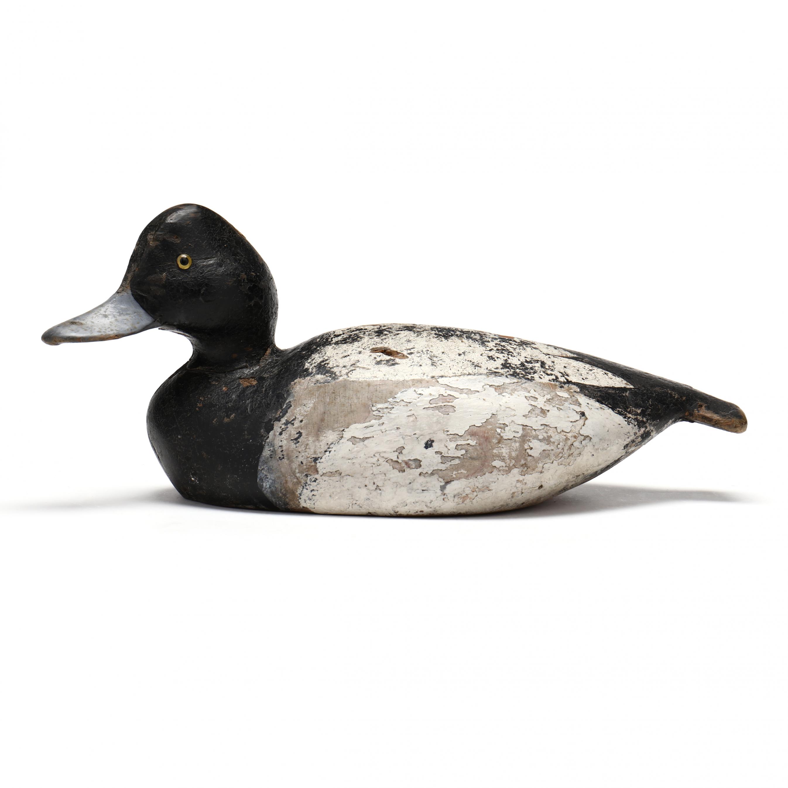 the American wildlife collection 鴨　レア Ward Brothers Broadbill, Fox Island Club (Lot 2118 - The Fall
