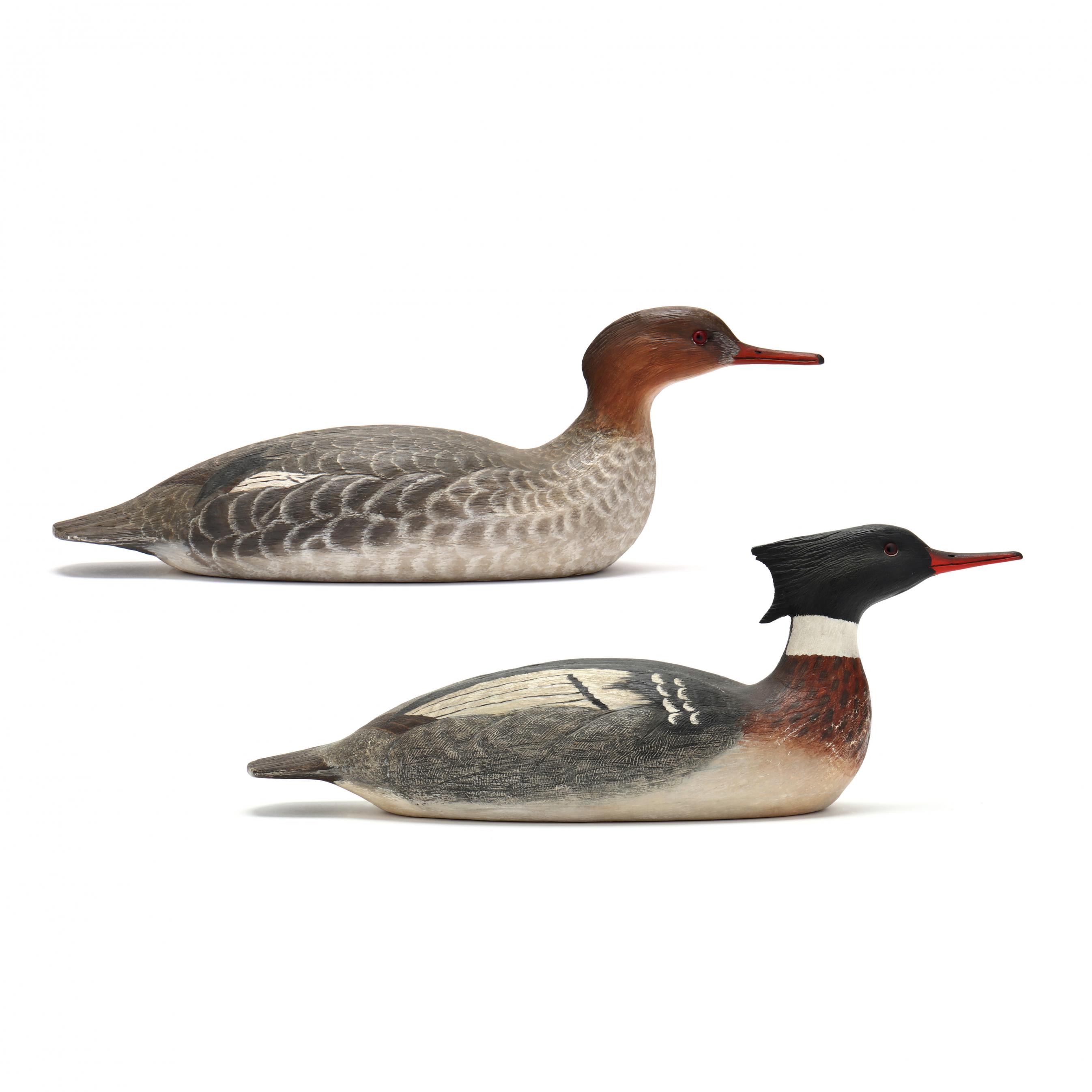 Cigar Daisey, Red Breasted Merganser Pair (Lot 2115 - The Fall