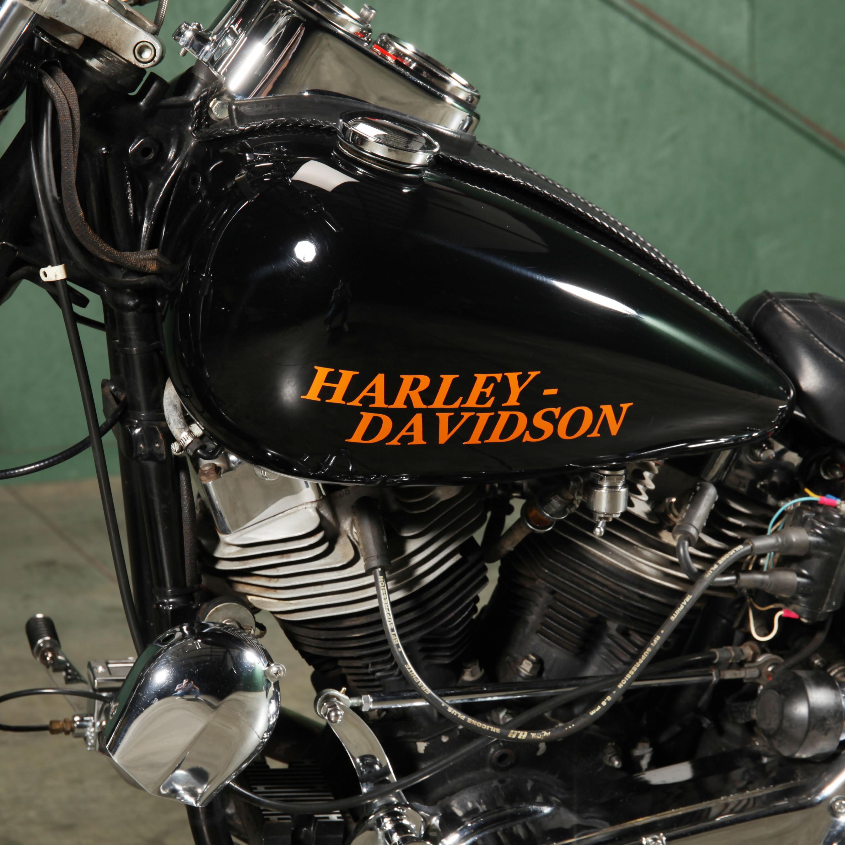 1979 Harley Davidson FXS Low Rider (Lot 2005 - Performance