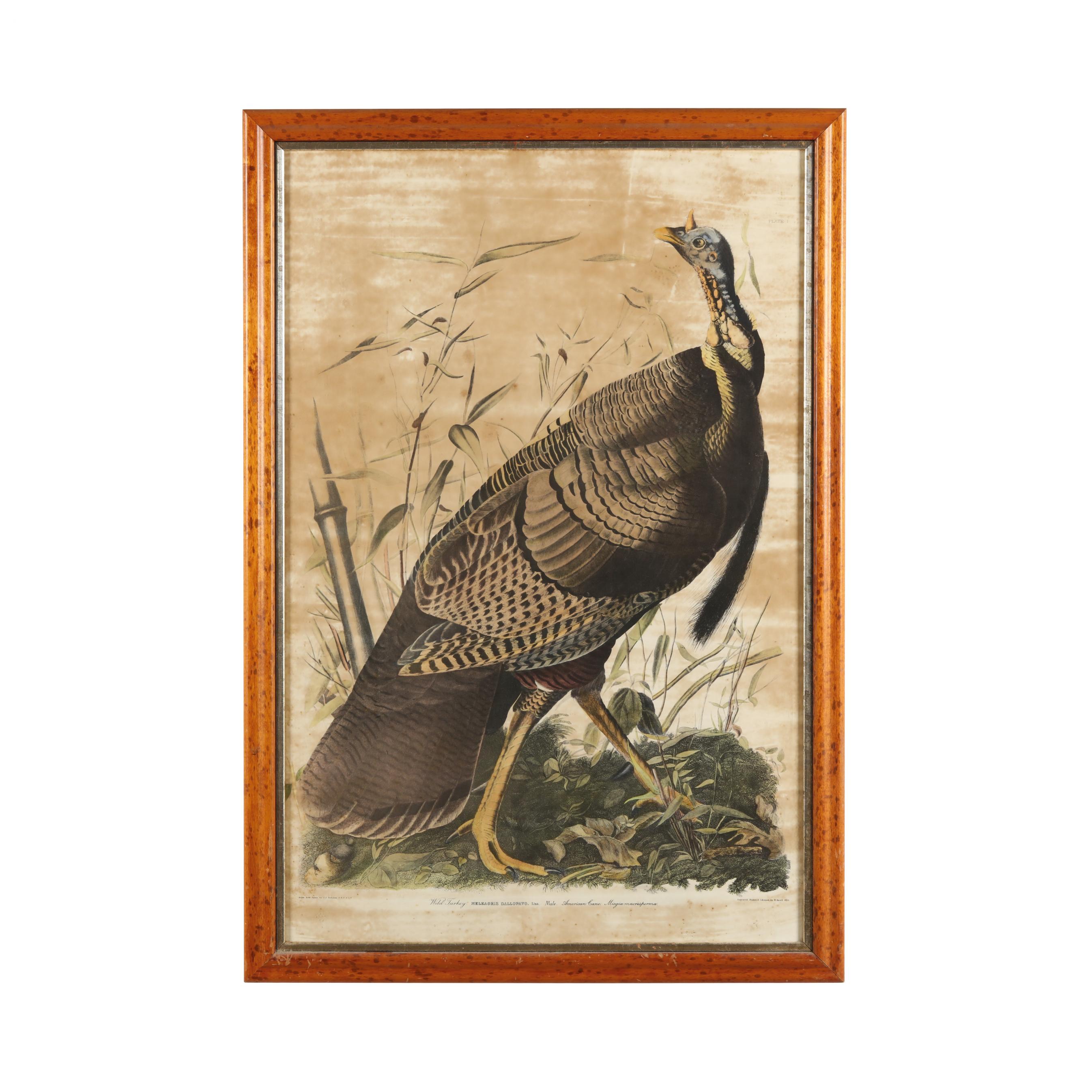 Japanese Print 