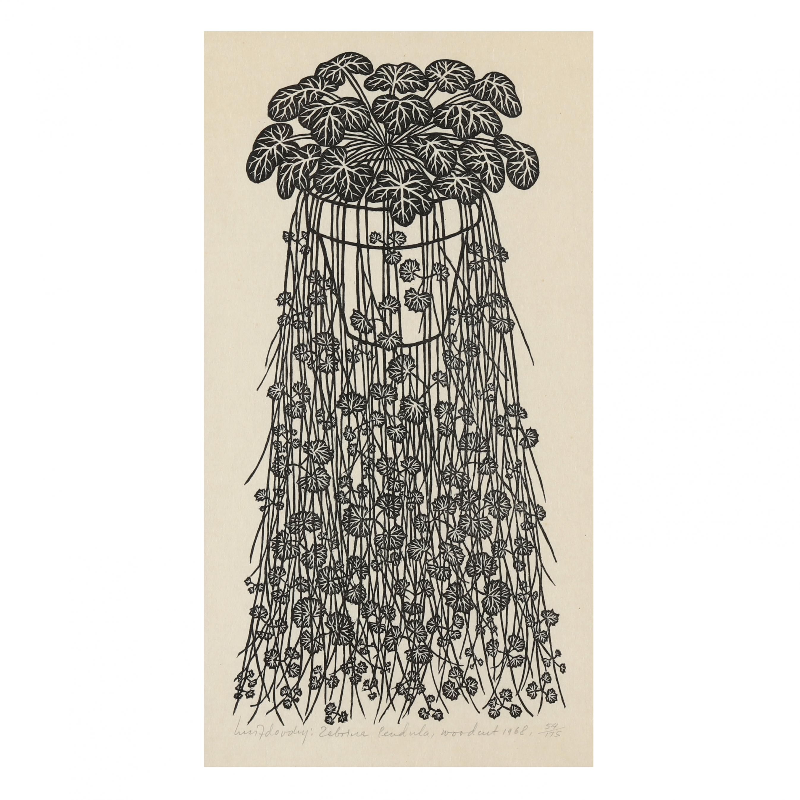 Jacques Hnizdovsky (Ukrainian/American, 1915-1985), Zebrica