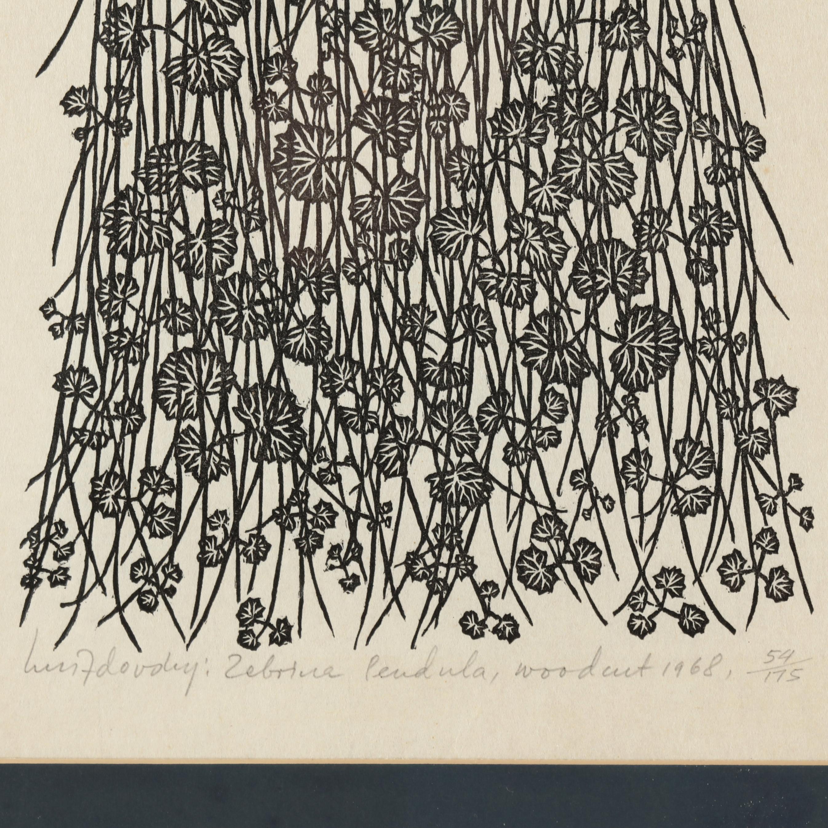 Jacques Hnizdovsky (Ukrainian/American, 1915-1985), Zebrica