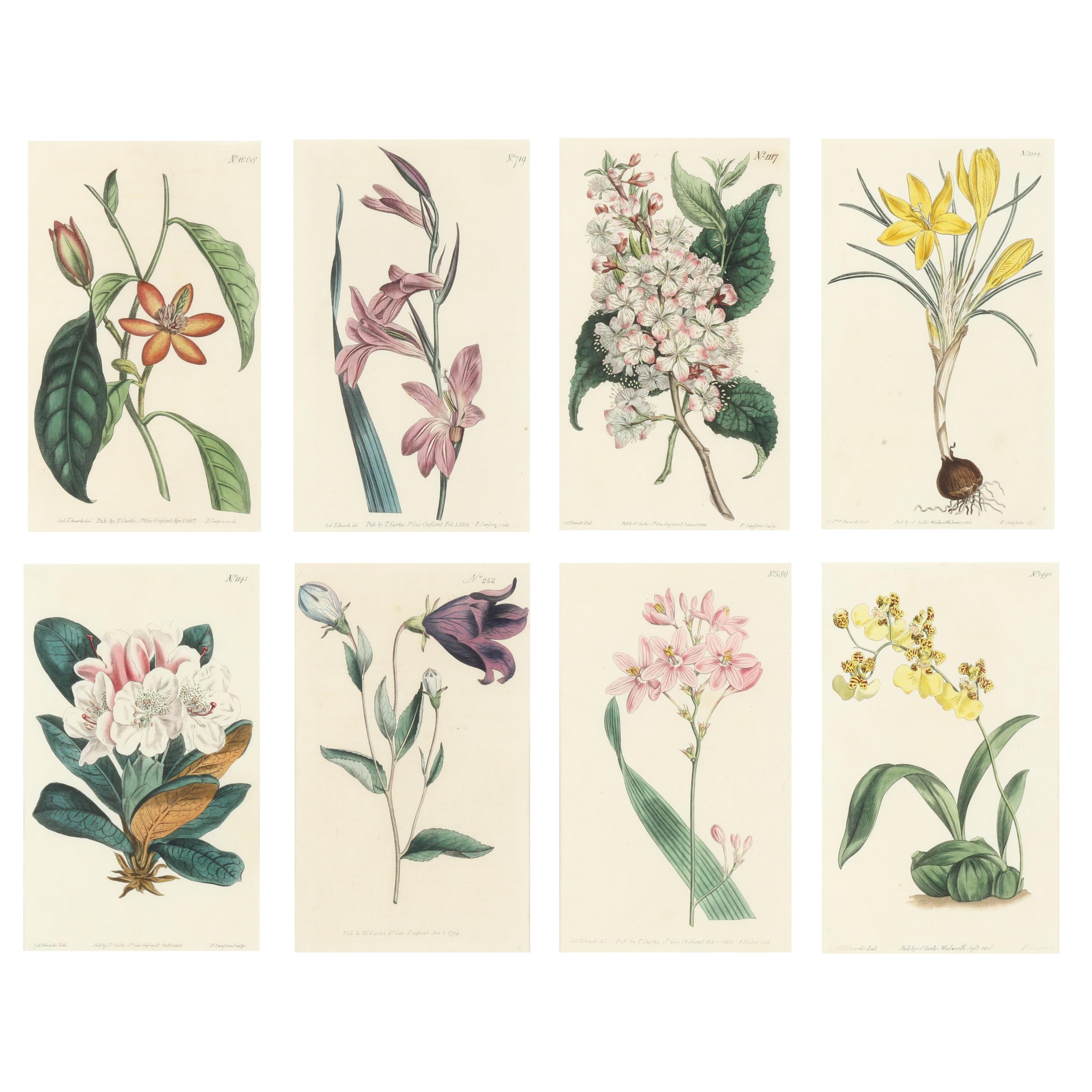 イギリス ボタニカル画の額装品 銅版画に手彩色 1827年 公式
