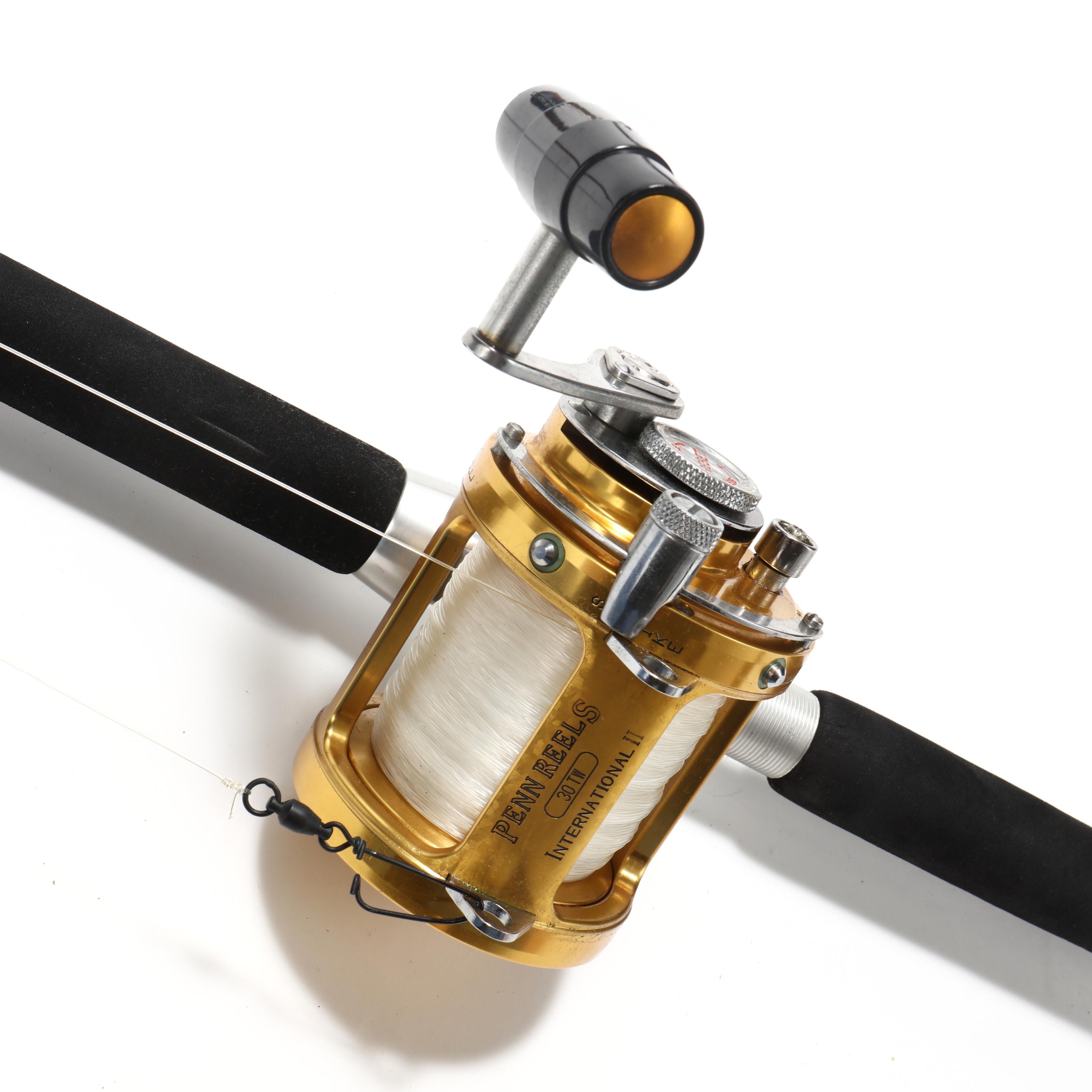 Penn International II 30TW Fishing Reel | eBay