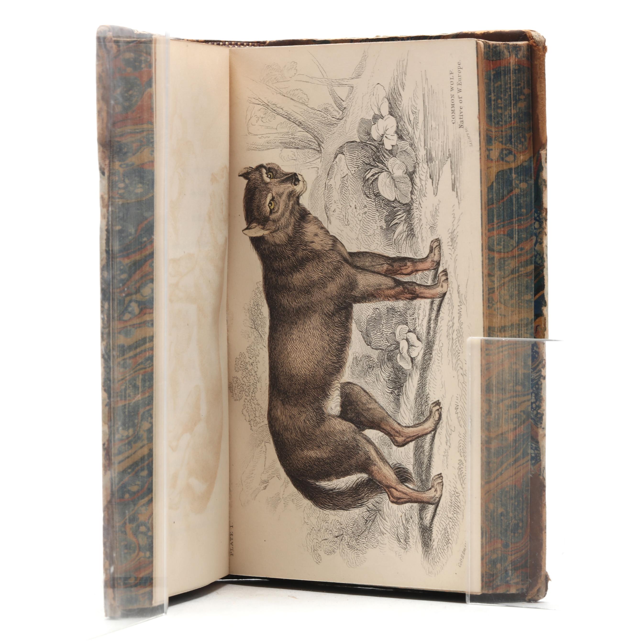 A Rare Complete Set of Jardine's The Naturalist's Library, With