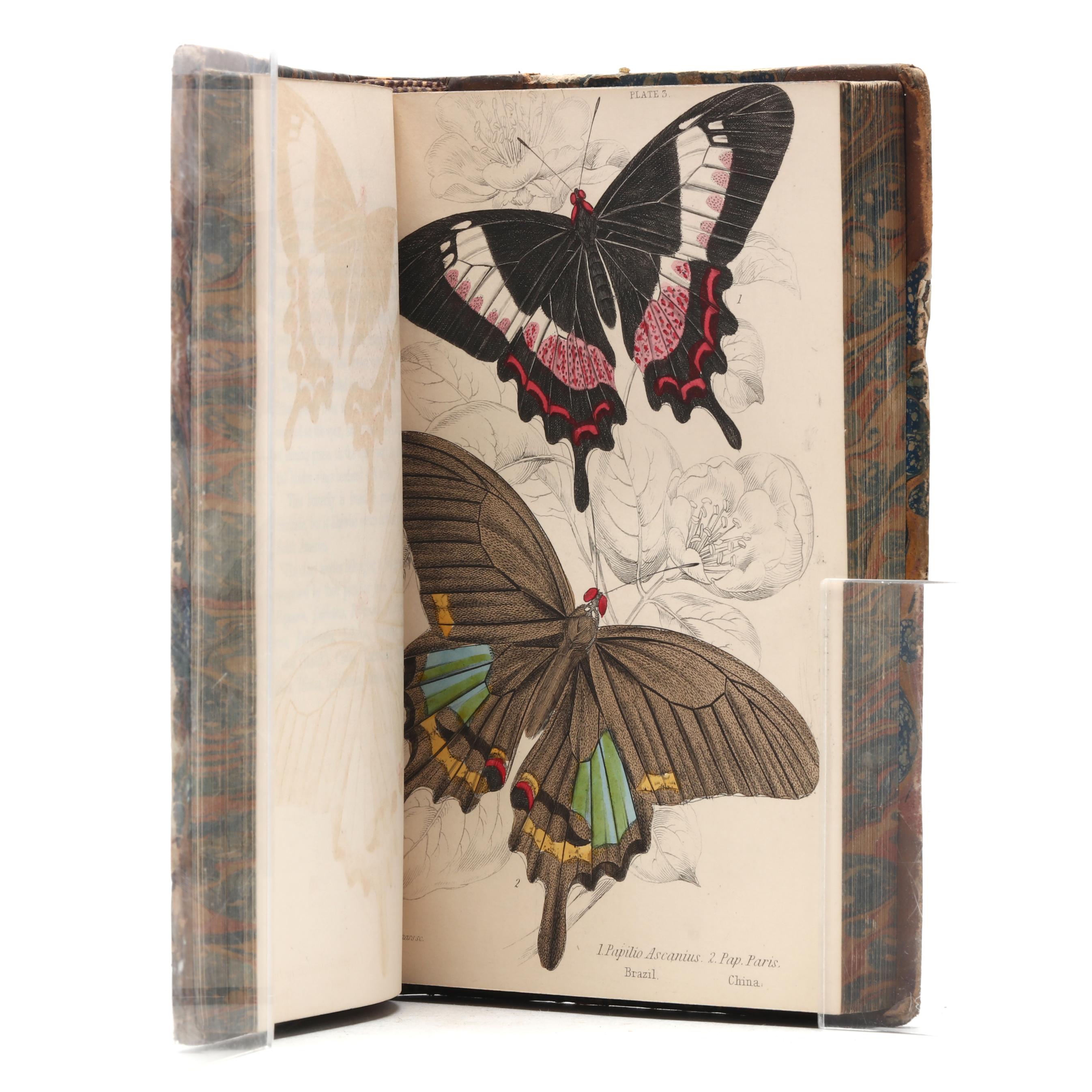 A Rare Complete Set of Jardine's The Naturalist's Library, With
