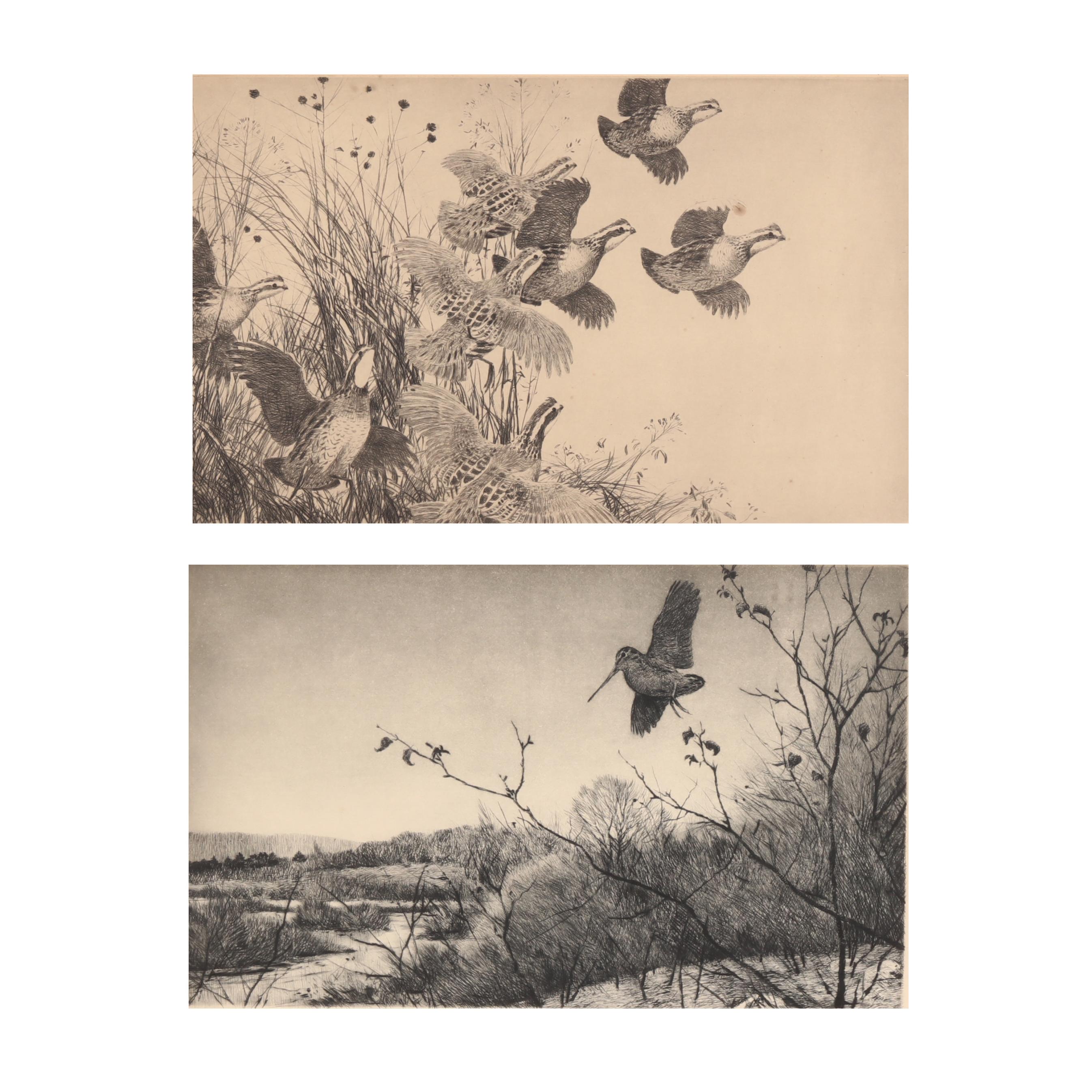 Dove、Lake Afternoon、希少画集画、新品額付 9781441343284_720x.jpg?v=