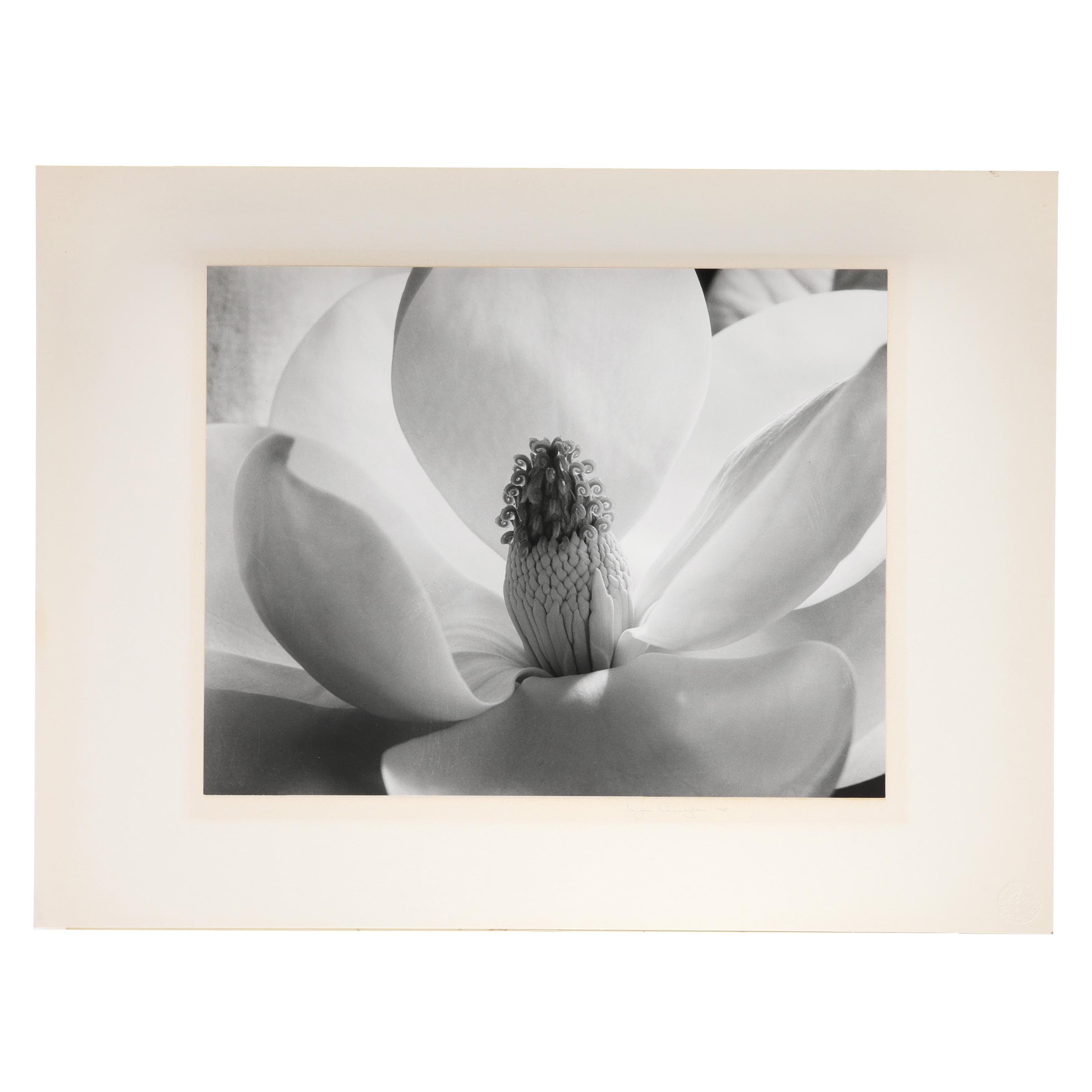 あいり様　Imogen Cunningham ［FLORA］ Imogen Cunningham: Flora (BULFINCH): Lorenz, Richard