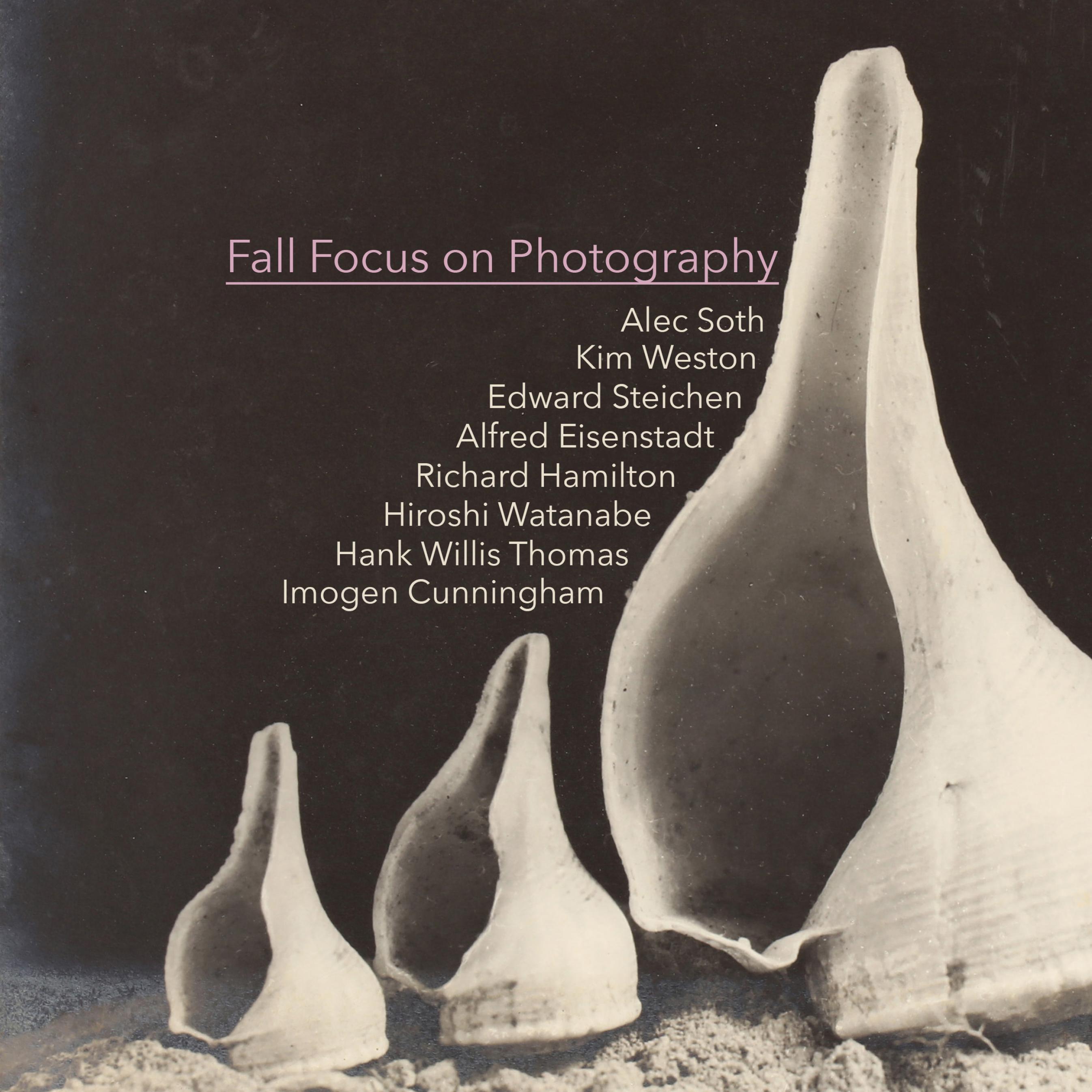 fall-focus-on-photography
