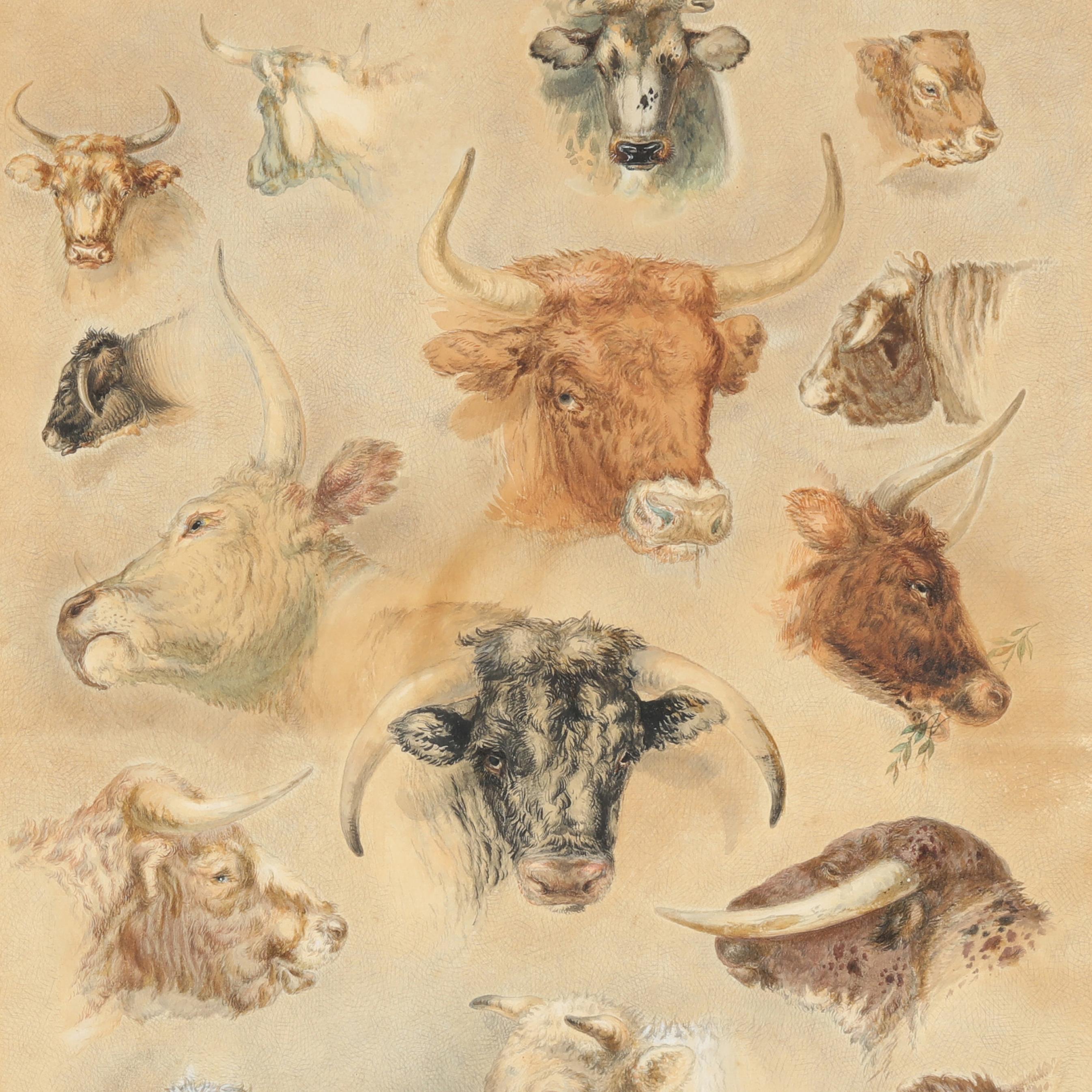 auction1