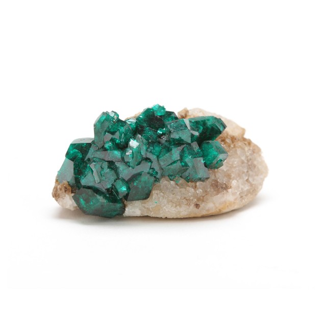 The Frank Menser Fossil and Mineral Online Auction