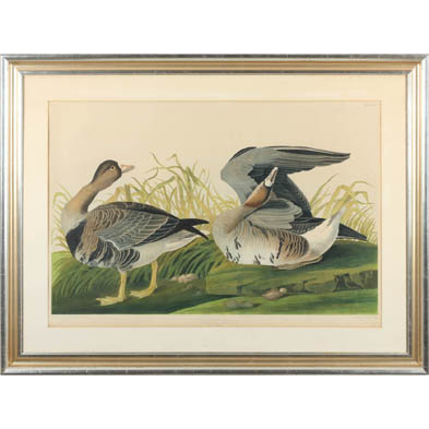 after-john-j-audubon-am-1785-1851