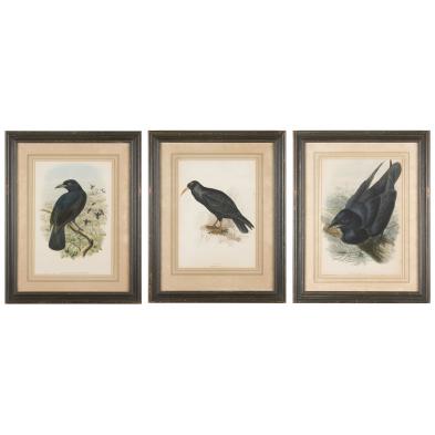 three-antique-hand-colored-bird-lithographs