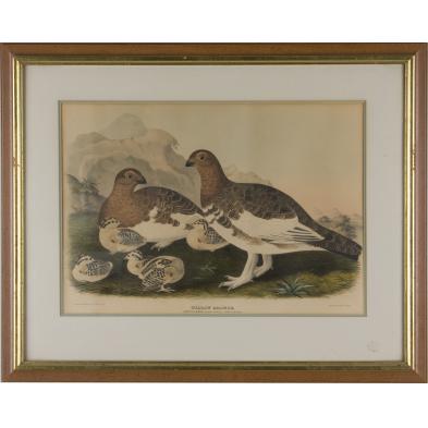 daniel-g-elliot-am-1835-1915-willow-grouse