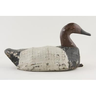 canvasback-decoy-north-carolina