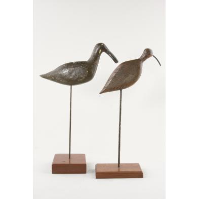 two-flattie-shorebirds