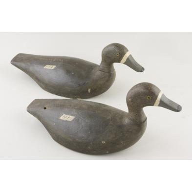 two-blue-bill-decoys-new-york