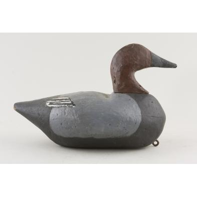 canvasback-drake-decoy-back-bay