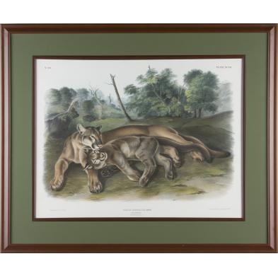 john-james-audubon-1785-1851-cougar-young