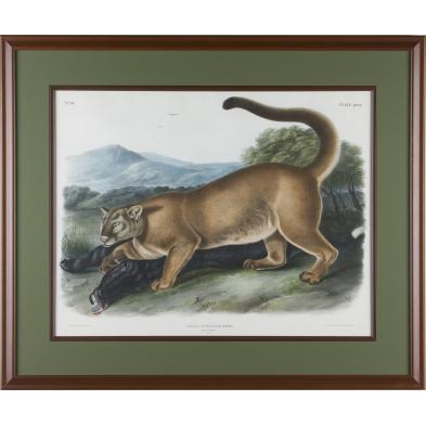 john-james-audubon-1785-1851-male-cougar