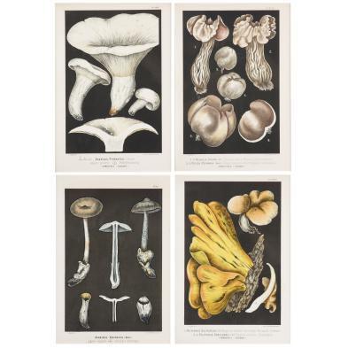 group-of-four-fungi-lithographs-after-leuba
