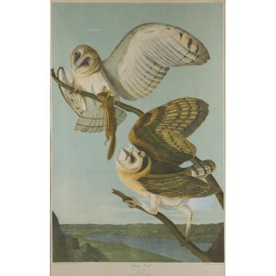 bien-chromolithograph-of-audubon-s-barn-owl