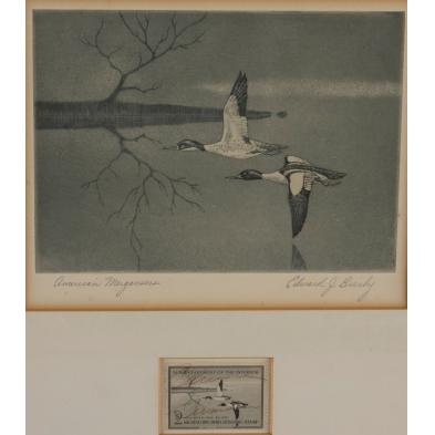 1956-federal-duck-stamp-print-by-edward-bierly