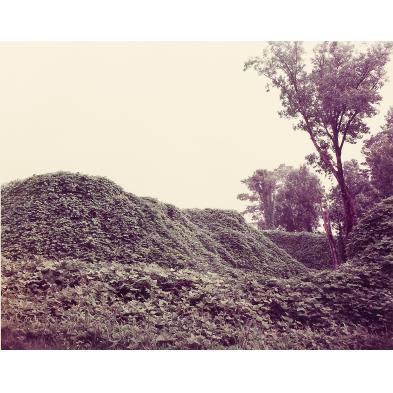 william-christenberry-am-b-1936-kudzu