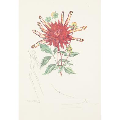 salvador-dali-sp-1904-1989-dahlia-rapax