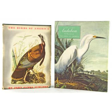 two-audubon-bird-books