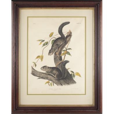 lithograph-after-john-woodhouse-audubon