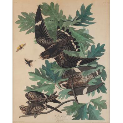 after-john-james-audubon-night-hawk