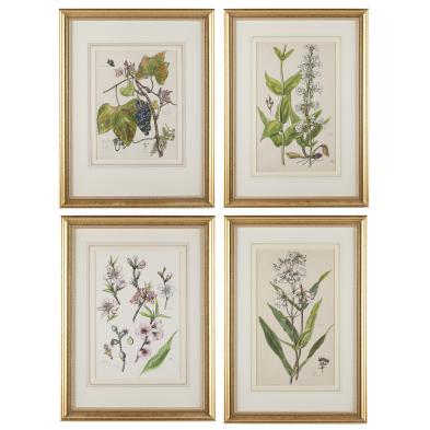 elsie-mistie-sterling-ar-1907-1960-botanicals