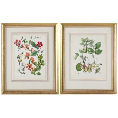 elsie-mistie-sterling-ar-1907-1960-botanicals