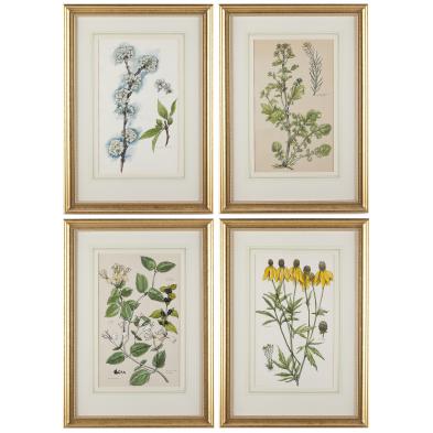 elsie-mistie-sterling-ar-1907-1960-botanicals