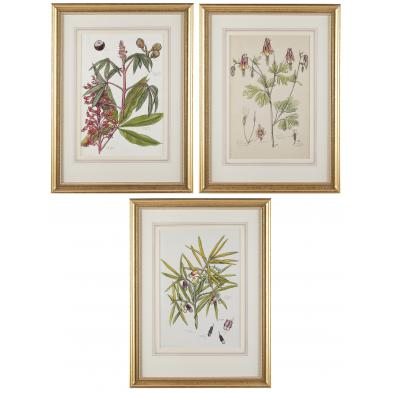 elsie-mistie-sterling-ar-1907-1960-botanicals