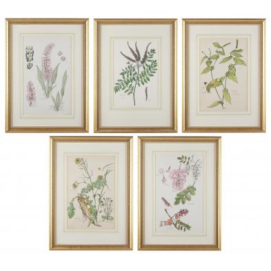 elsie-mistie-sterling-ar-1907-1960-botanicals