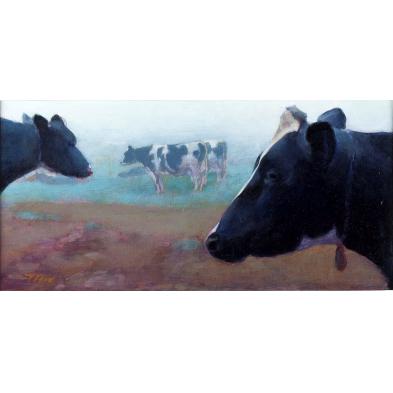 tim-ford-nc-20th-century-ny-cows-in-the-fog