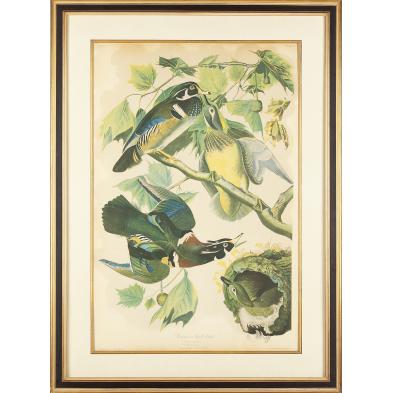 bien-edition-of-audubon-s-summer-or-wood-duck