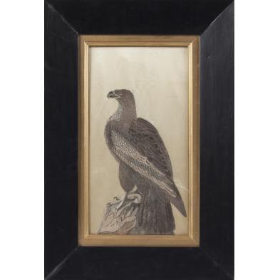 19th-century-silk-needlework-of-an-eagle