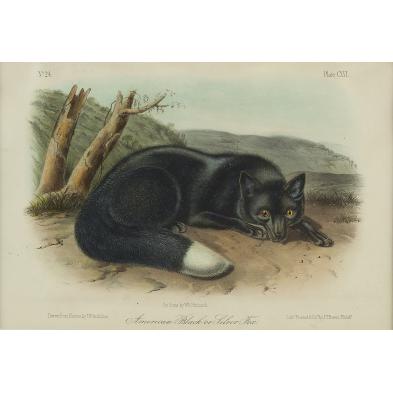 lithograph-after-john-woodhouse-audubon