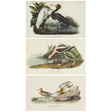 three-lithographs-after-john-james-audubon